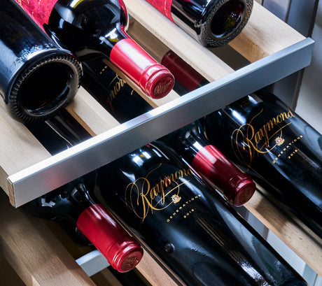 Pairing Wine Fridge Sizes with Your Wine Collection: A Buyer’s Guide