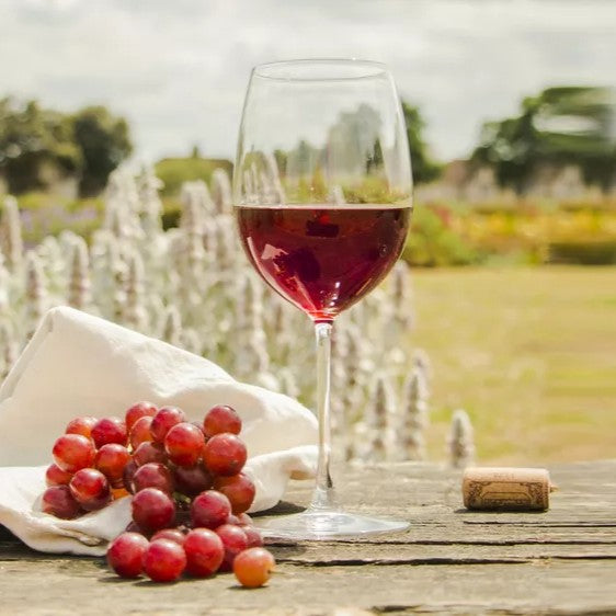 Pinot Noir vs Cabernet Sauvignon: Which Wine Should You Pick for Your Meal?