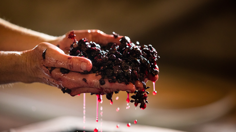 Do Sulfites in Wine Really Cause Headaches?