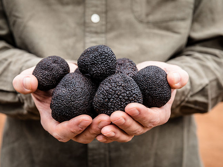 How to Pair Wine with Truffles: Expert Tips and Recommendations