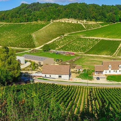 Chablis