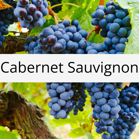 Cabernet Sauvignon