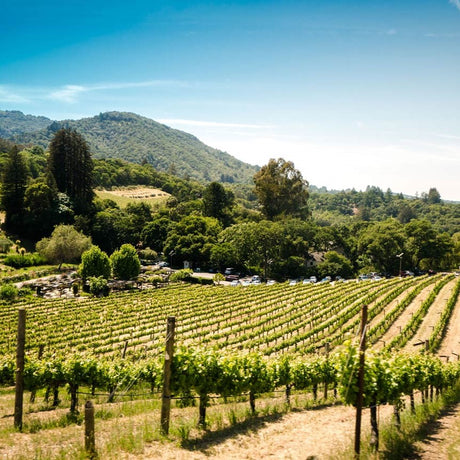 Sonoma