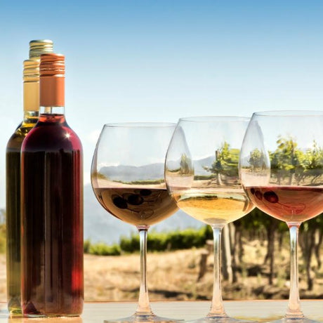 Light Medium Bodied White/Sauvignon Blanc Glasses