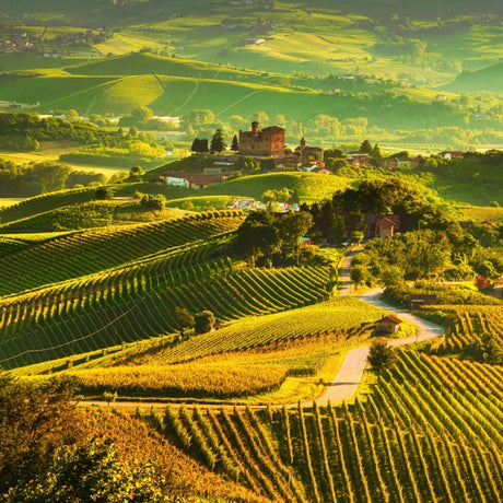 Piedmont