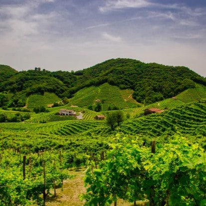 Veneto