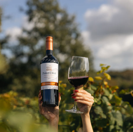 Wines of the Month