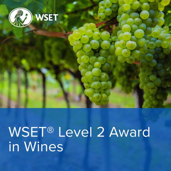 WSET Level 2 Experience